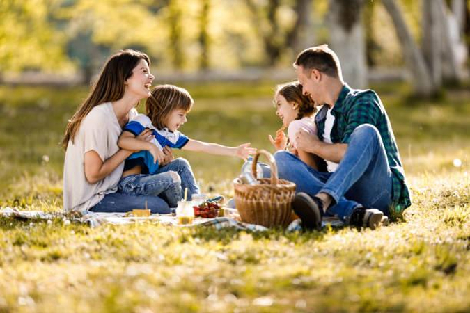 family enjoying a picnic outdoors