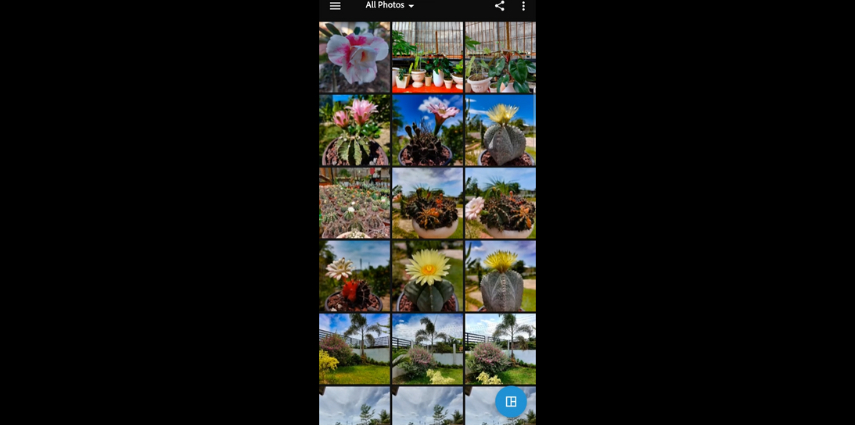 how to unblur a photo on android with Adobe Photoshop Express