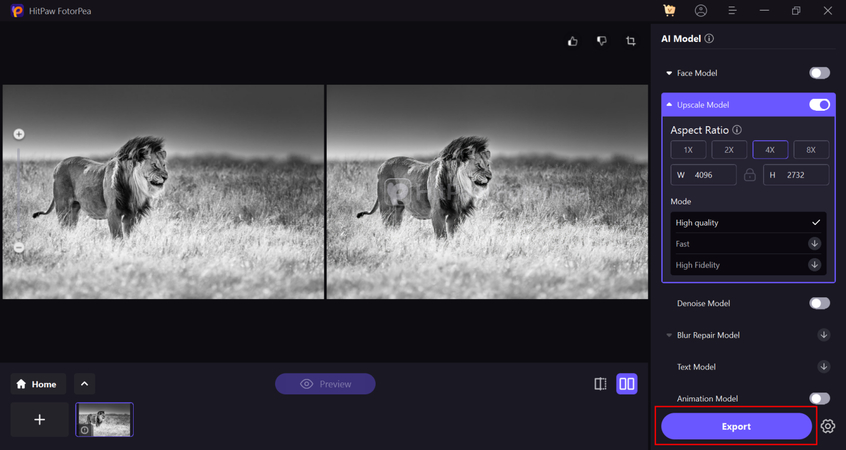 final black and white animal