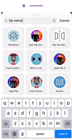 type flip mirror in search bar