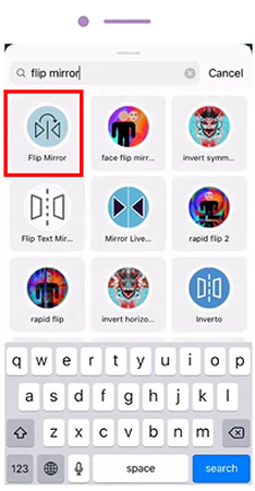 choose inverted face filter from results