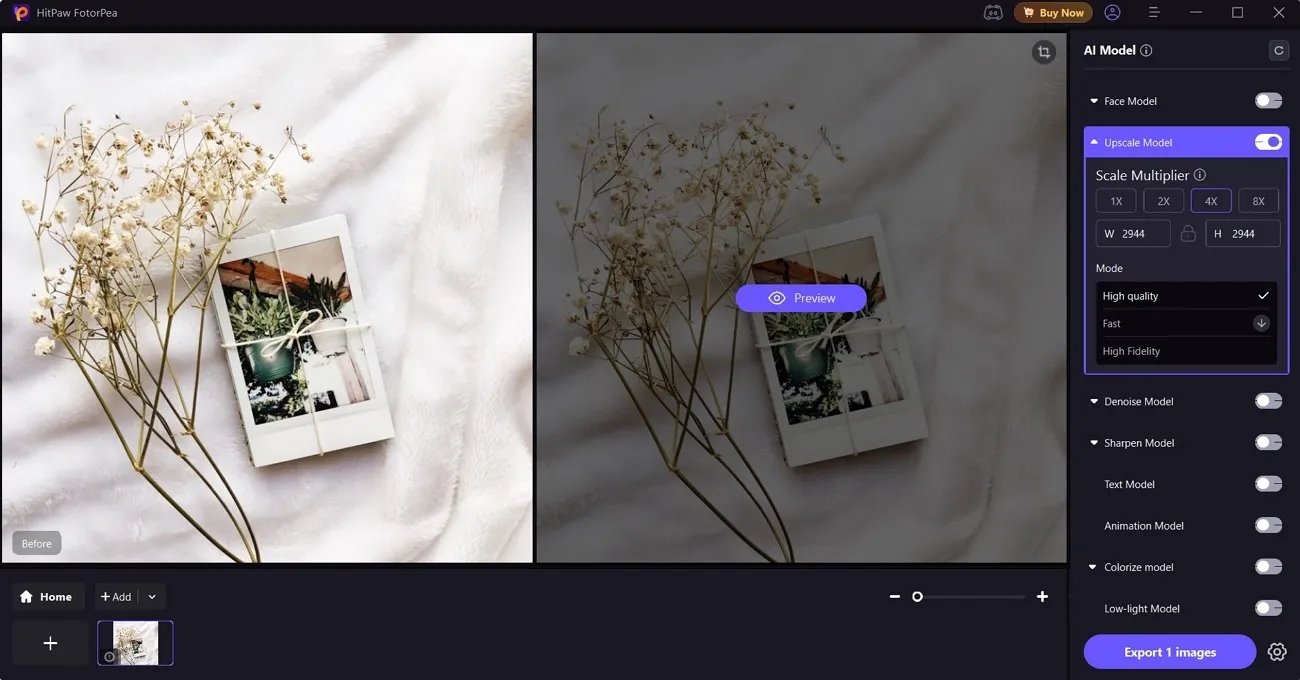 upscale model for instagram image fotorpea