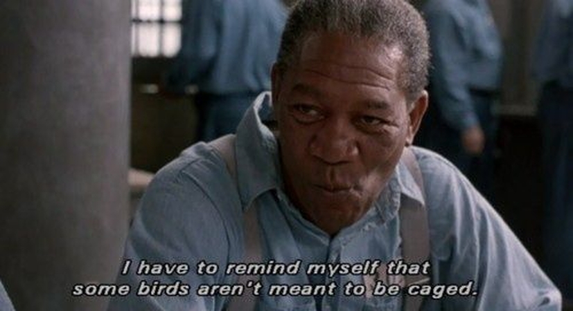 some birds aren't meant to be caged quote