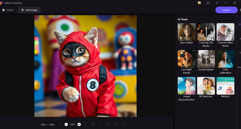 squid-game-cat-edition-guide