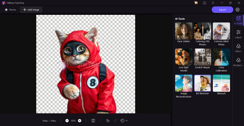 squid-game-cat-edition-guide