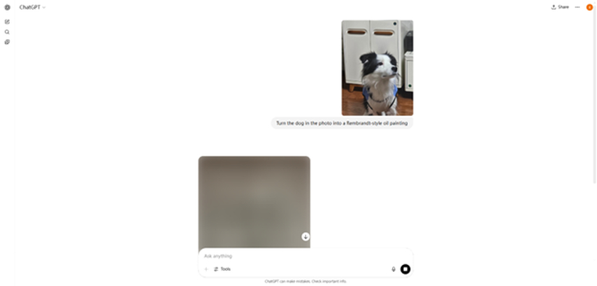 upload pet picture into chatgpt