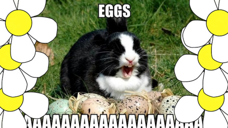 easter funny memes