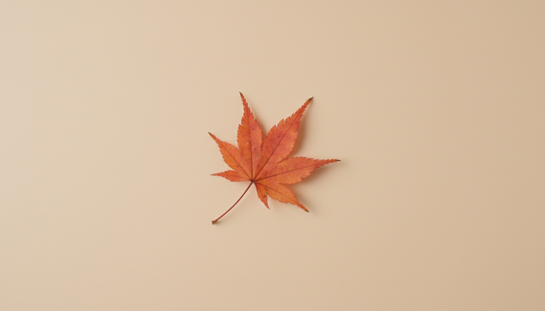 fall-wallpaper-3
