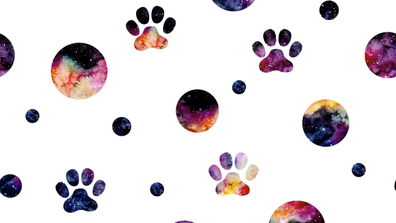 how to draw a cat paw print easy