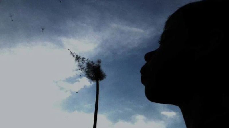 reduce exposure silhouette iphone