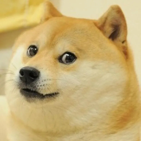 doge meme roblox avatar