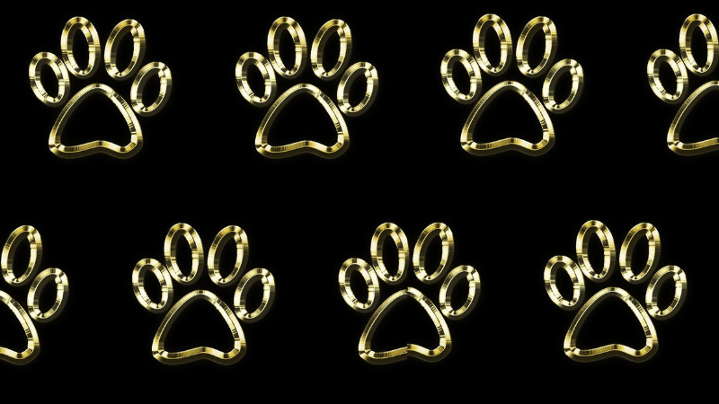 how to draw a cat paw print step by step