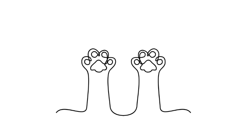 how to draw a cat paw print step by step