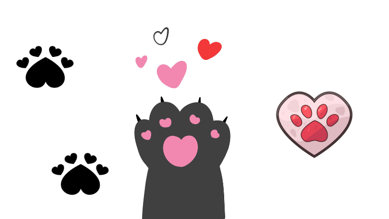 how to draw paw prints for cats