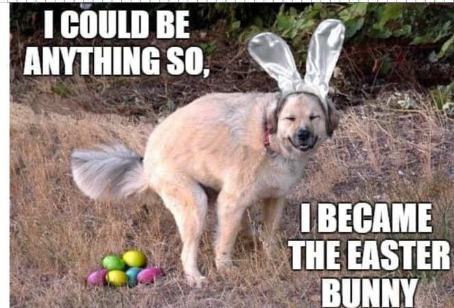 easter funny meme