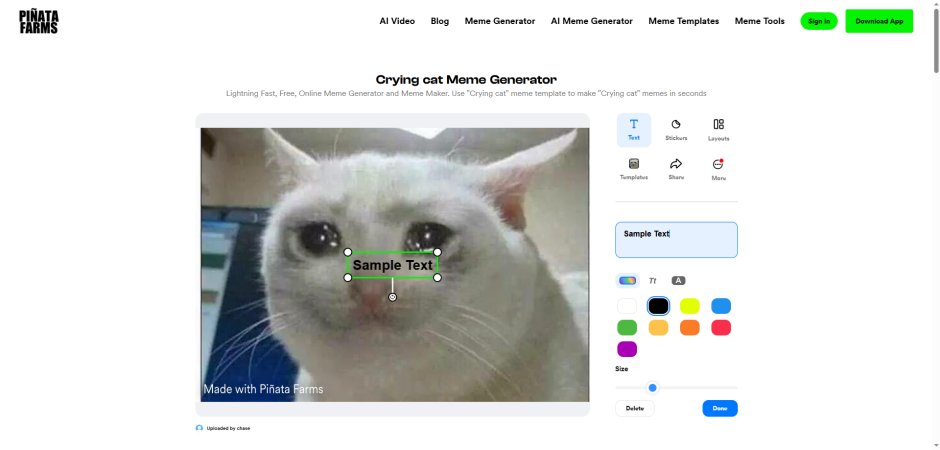 pinata crying meme