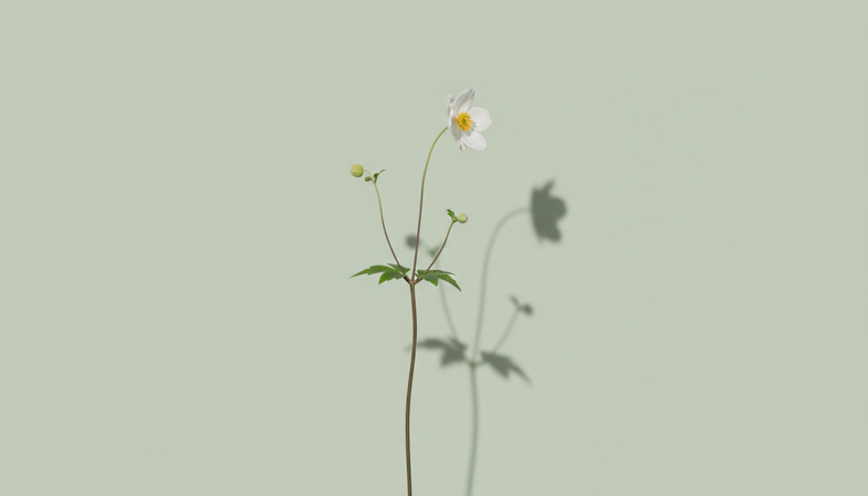 spring-desktop-wallpaper-3