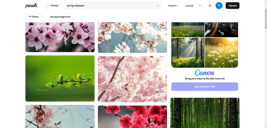 spring-desktop-wallpaper-8