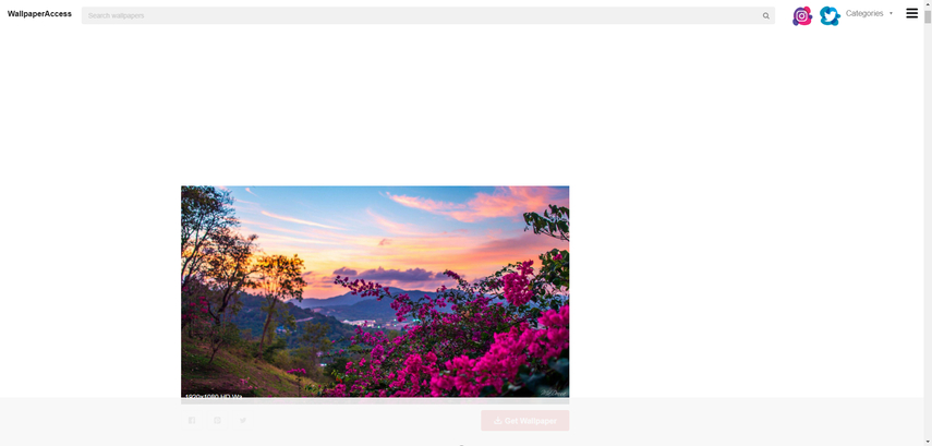 spring-desktop-wallpaper-9