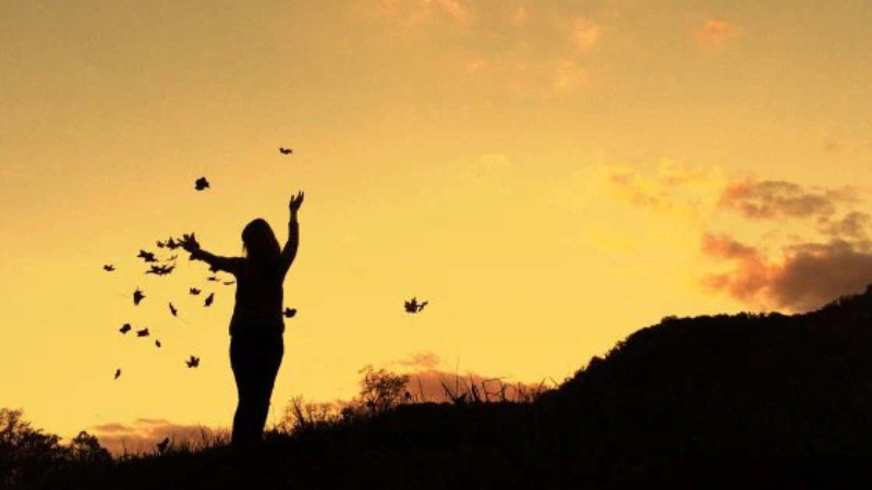 set exposure iphone camera