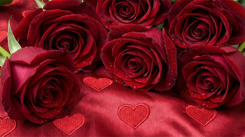 valentines wallpaper classic romantic