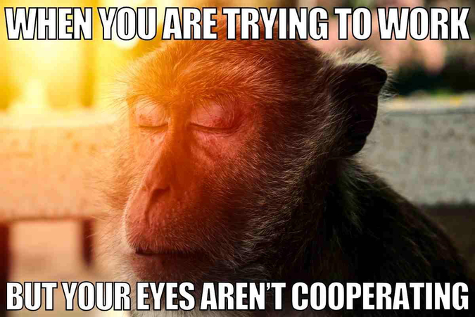 work exhaustion meme