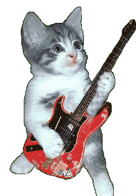 Kitty Rock Star