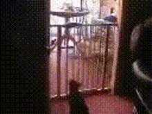 katze springt über babygitter gif