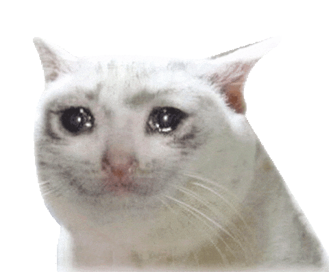 crying cat gif