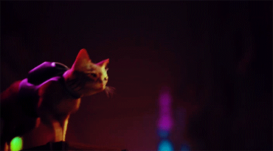 خلفية قطة سايبربانك بصيغة GIF