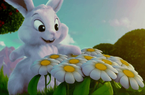 cute easter bunny gifs for holiday greetings