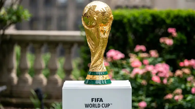 fifa world cup gifs for match reactions