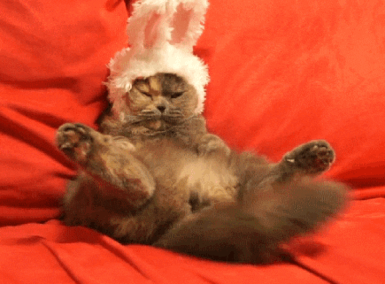 funny easter gifs to share laughs