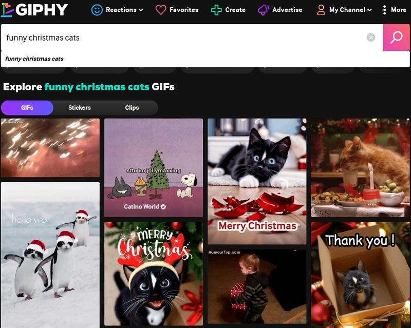giphy christmas cat