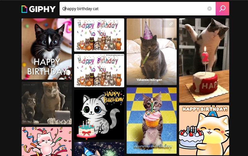 giphy happy birthday cat