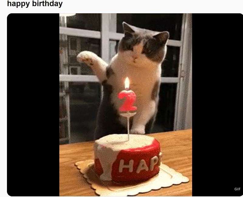 happy birthday gif free download reddit