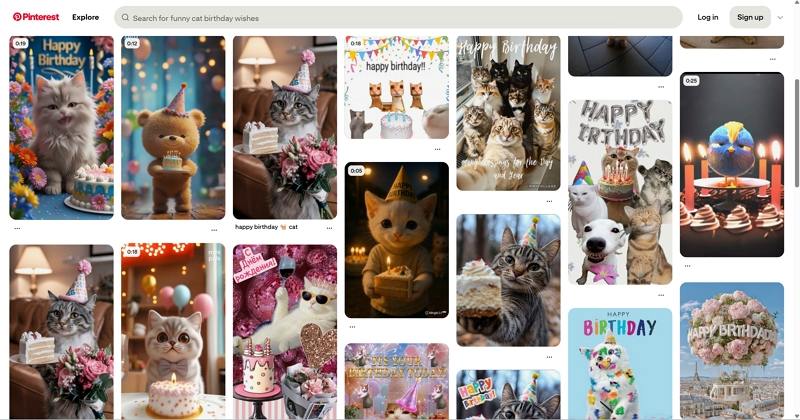 pinterest happy birthday cat