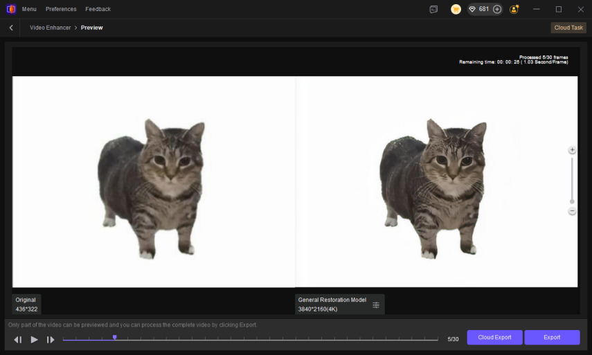 preview and export 4K Oiia Cat GIF