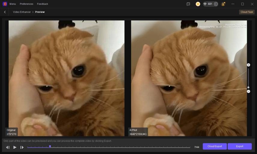 preview and export 4K orange cat GIF