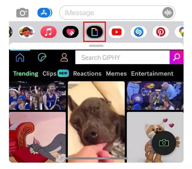 send GIF in iMessage on iPhone