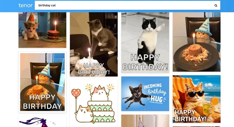 tenor happy birthday cat