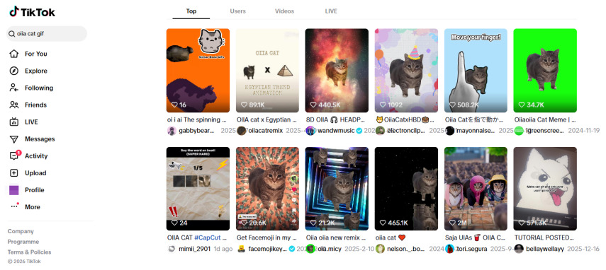 TikTok Oiia Cat GIFs