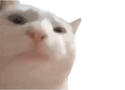 vibe cat gif hintergrundbild