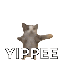 Classic Yippee Cat GIF