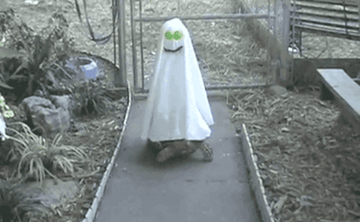 hilarious outfit mishaps