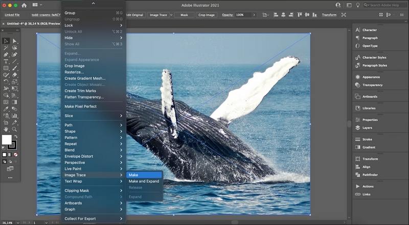 is a png file a vector file