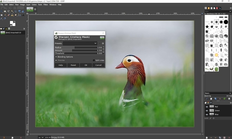 gimp earbud photography