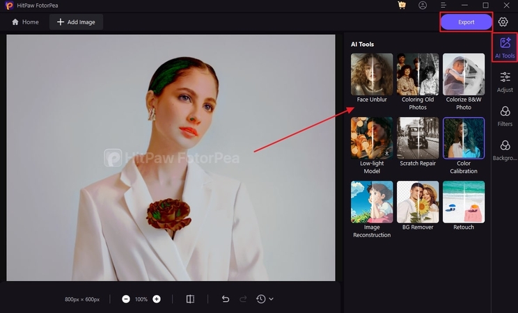 use ai tools and export