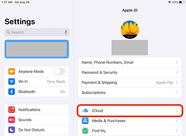 lead into icloud settings