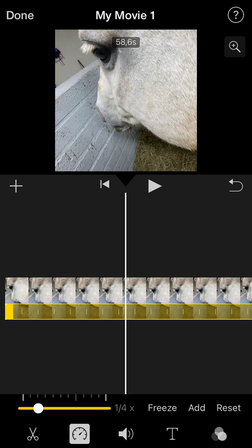 iPhone speed control issue